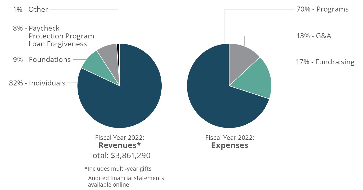 A diagram showing the Fiscal year 2022 Revenues and expenses